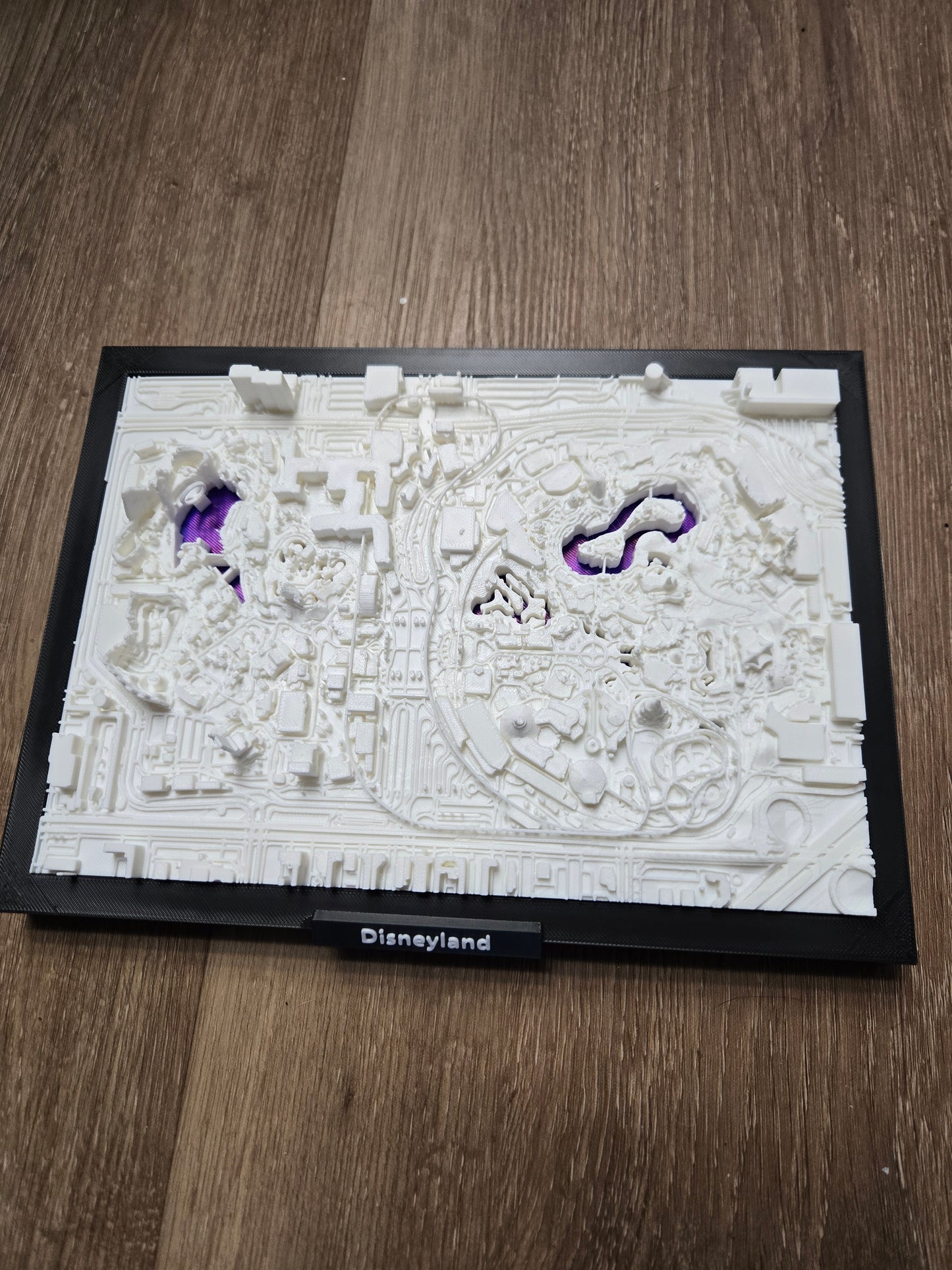 3D Map Of Disneyland/CAL Adventure