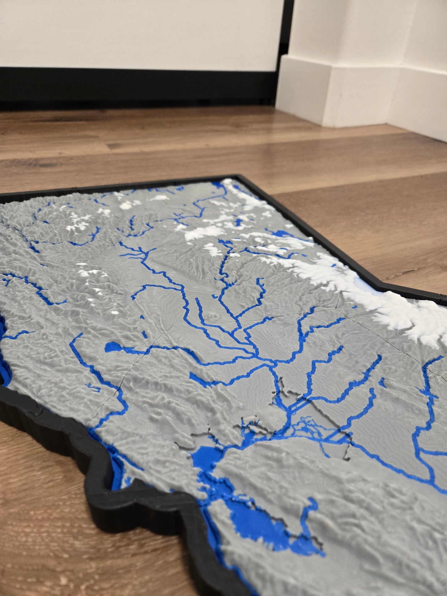 Giant 3D Map Of California